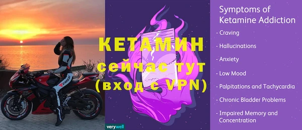 индика Гусев