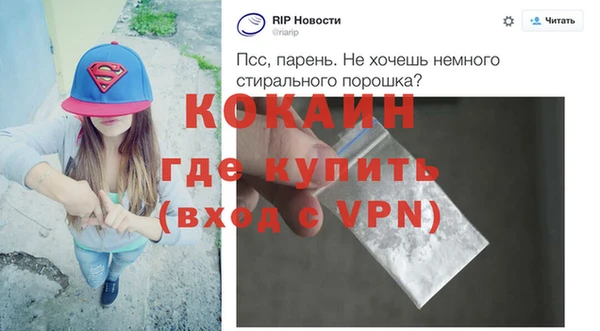 индика Гусев