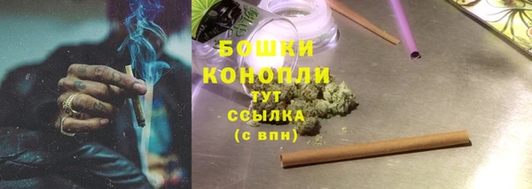 индика Гусев