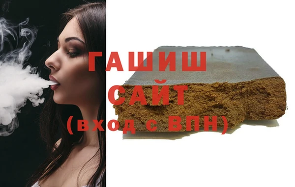 индика Гусев