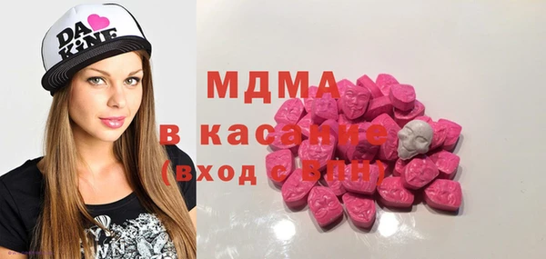 индика Гусев