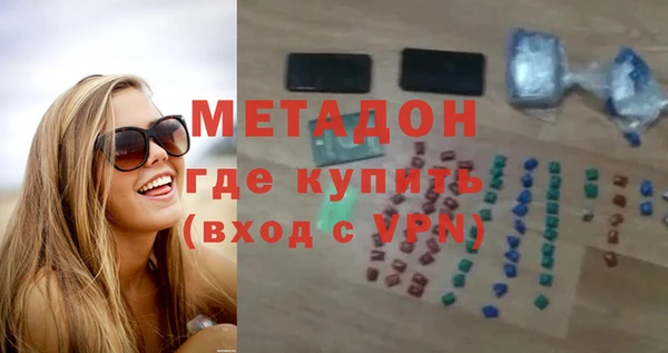индика Гусев