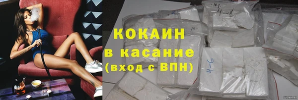 индика Гусев