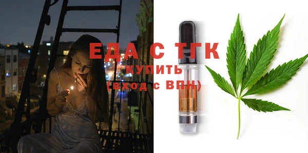 индика Гусев