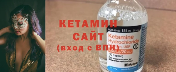 индика Гусев