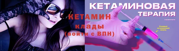 индика Гусев