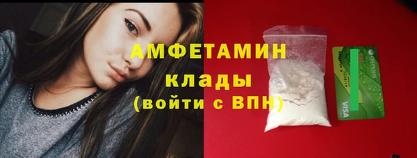 индика Гусев