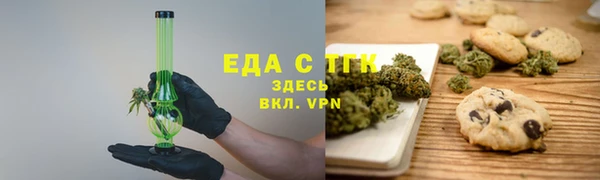 индика Гусев