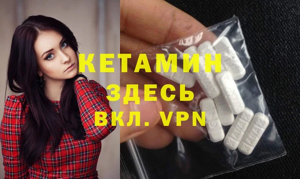 индика Гусев
