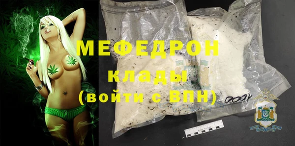 индика Гусев