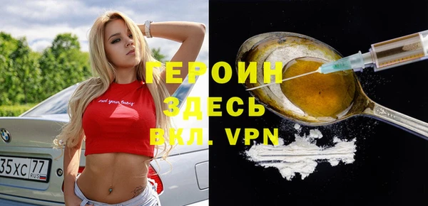 индика Гусев
