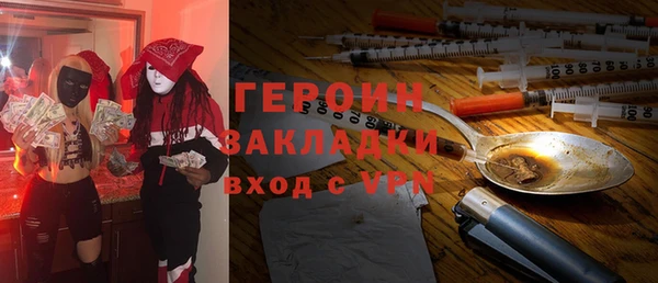 индика Гусев