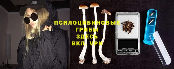 ГАЛЛЮЦИНОГЕННЫЕ ГРИБЫ Гусиноозёрск